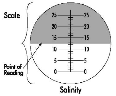 refractometer to find abv|refractometer correction chart.